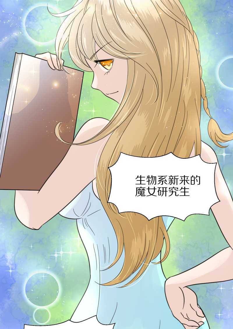 毛球星传说 第29集(1/3)-第29话