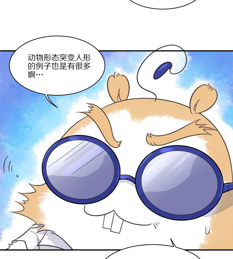 毛球星传说 第29集(1/3)-第29话