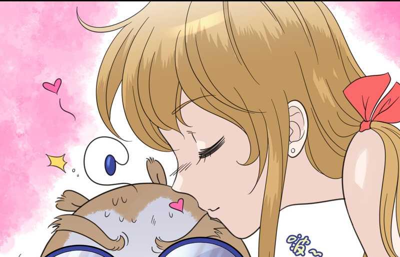 毛球星传说 第29集(1/3)-第29话