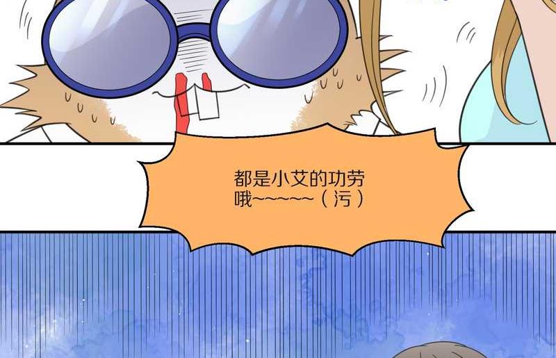 毛球星传说 第29集(1/3)-第29话