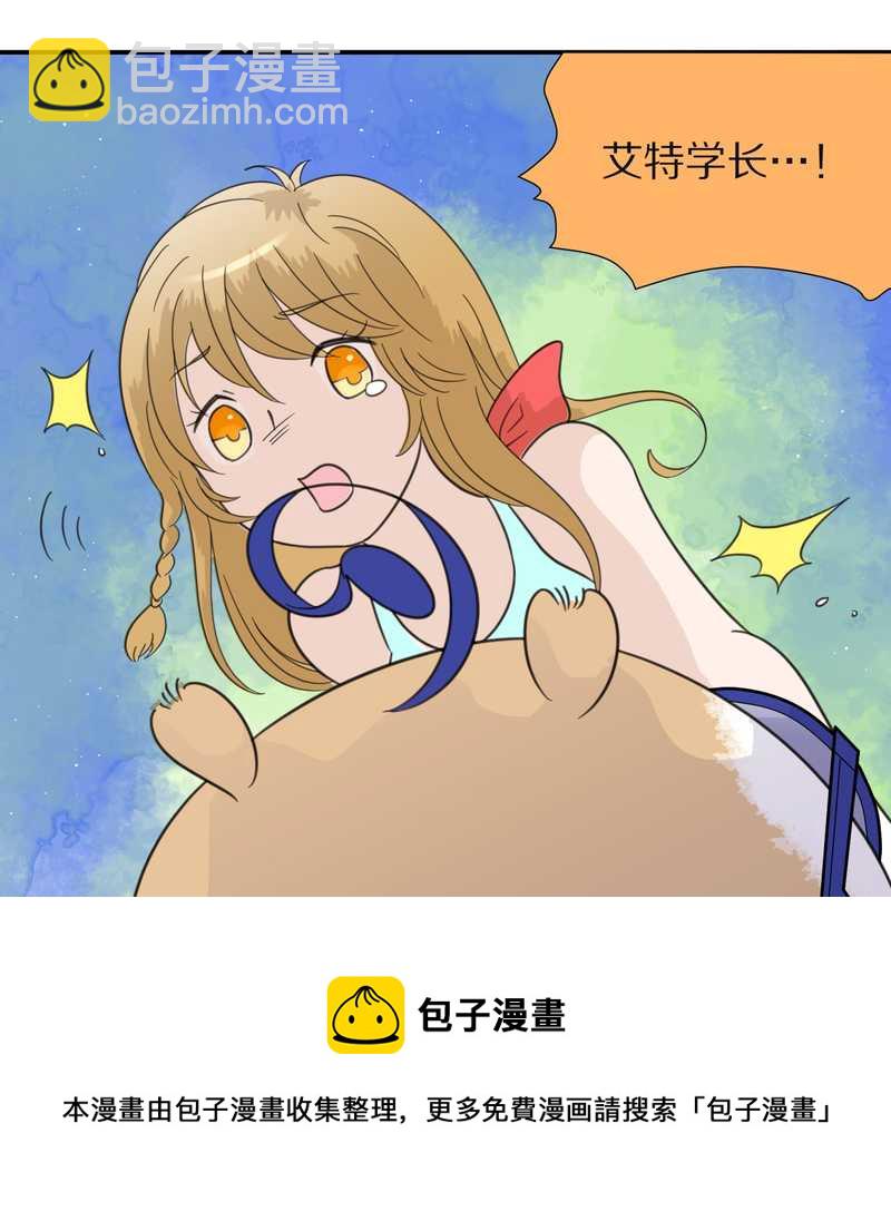 毛球星传说 第29集(1/3)-第29话