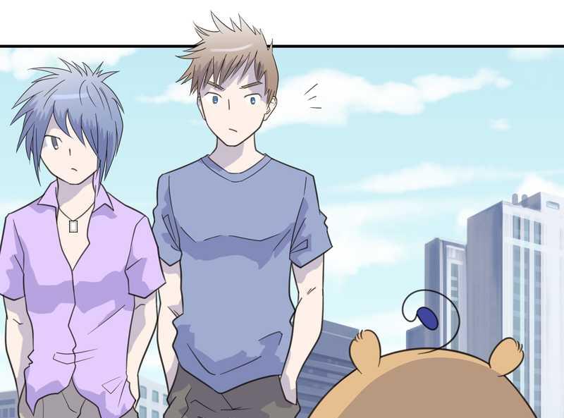 毛球星传说 第29集(1/3)-第29话