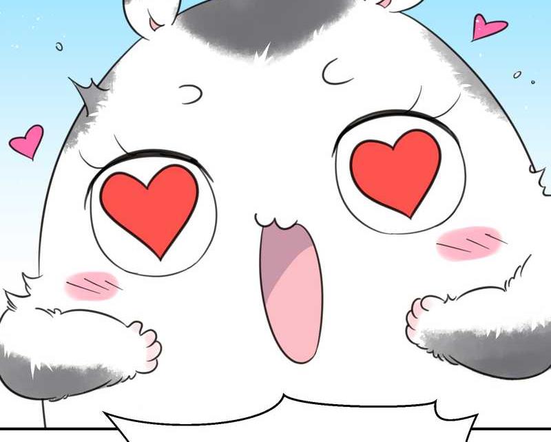 毛球星传说 第31集(1/2)-第31话