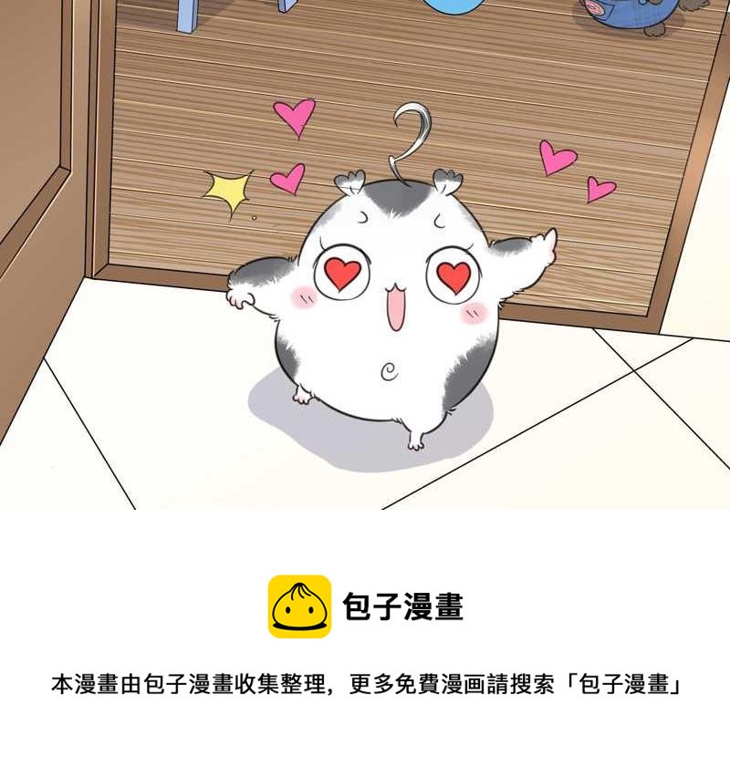 毛球星传说 第31集(1/2)-第31话