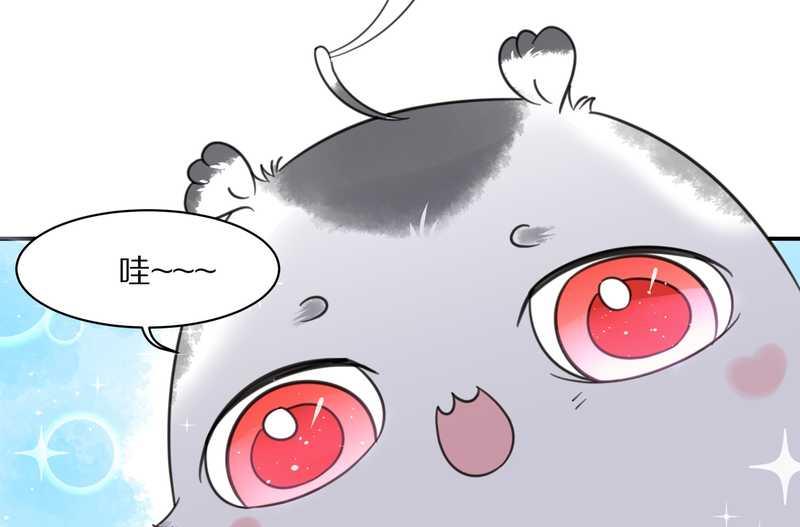 毛球星传说 第31集(1/2)-第31话