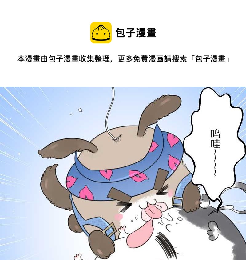 毛球星传说 第31集(1/2)-第31话