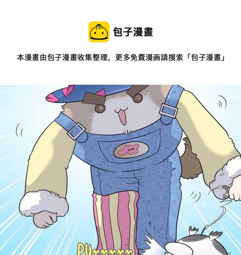 毛球星传说 第31集(1/2)-第31话