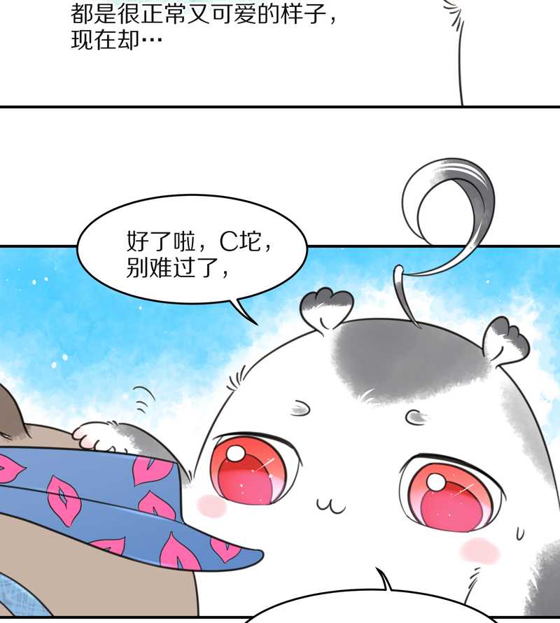 毛球星传说 第31集(1/2)-第31话
