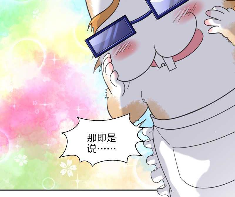 毛球星传说 第35集(1/2)-第35话