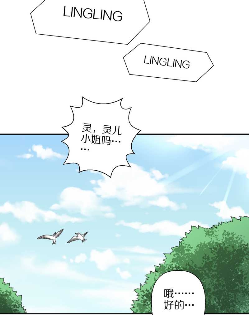 毛球星传说 第35集(1/2)-第35话