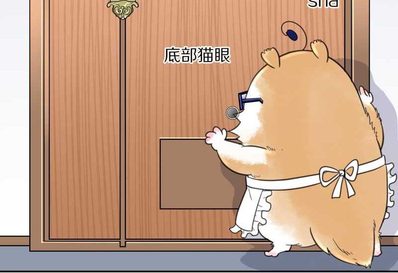 毛球星传说 第35集(1/2)-第35话