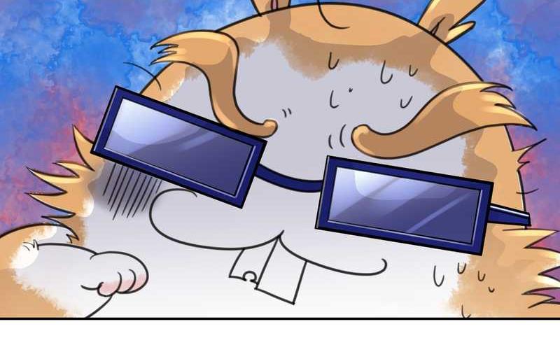 毛球星传说 第35集(1/2)-第35话