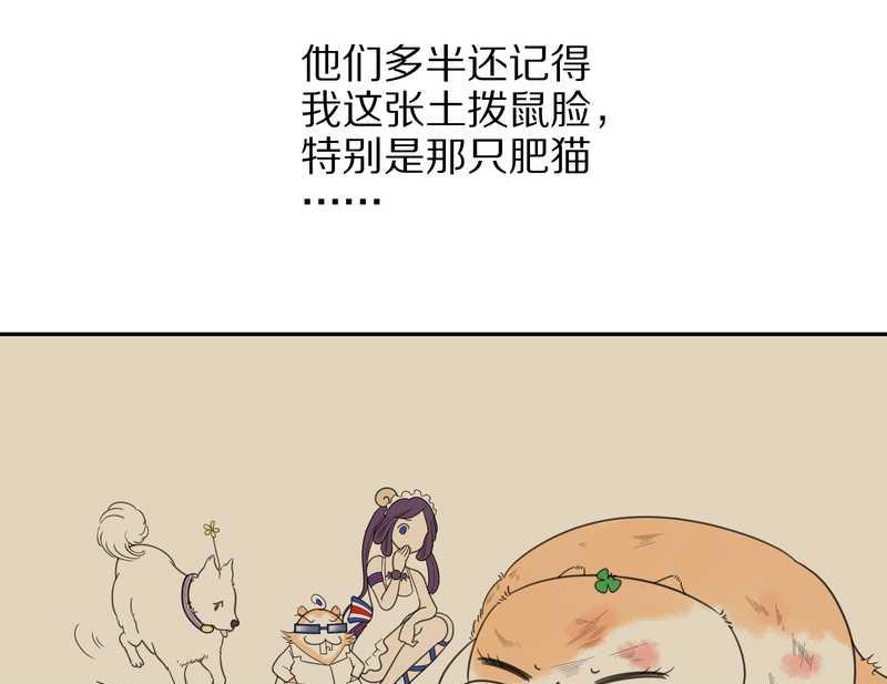 毛球星传说 第35集(1/2)-第35话