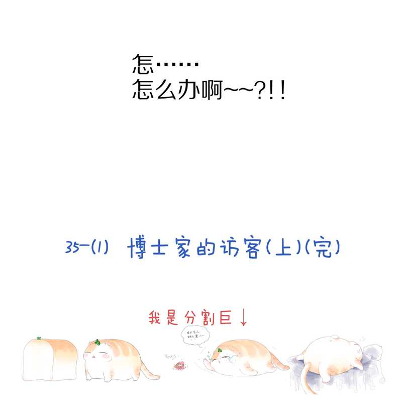 毛球星传说 第35集(1/2)-第35话