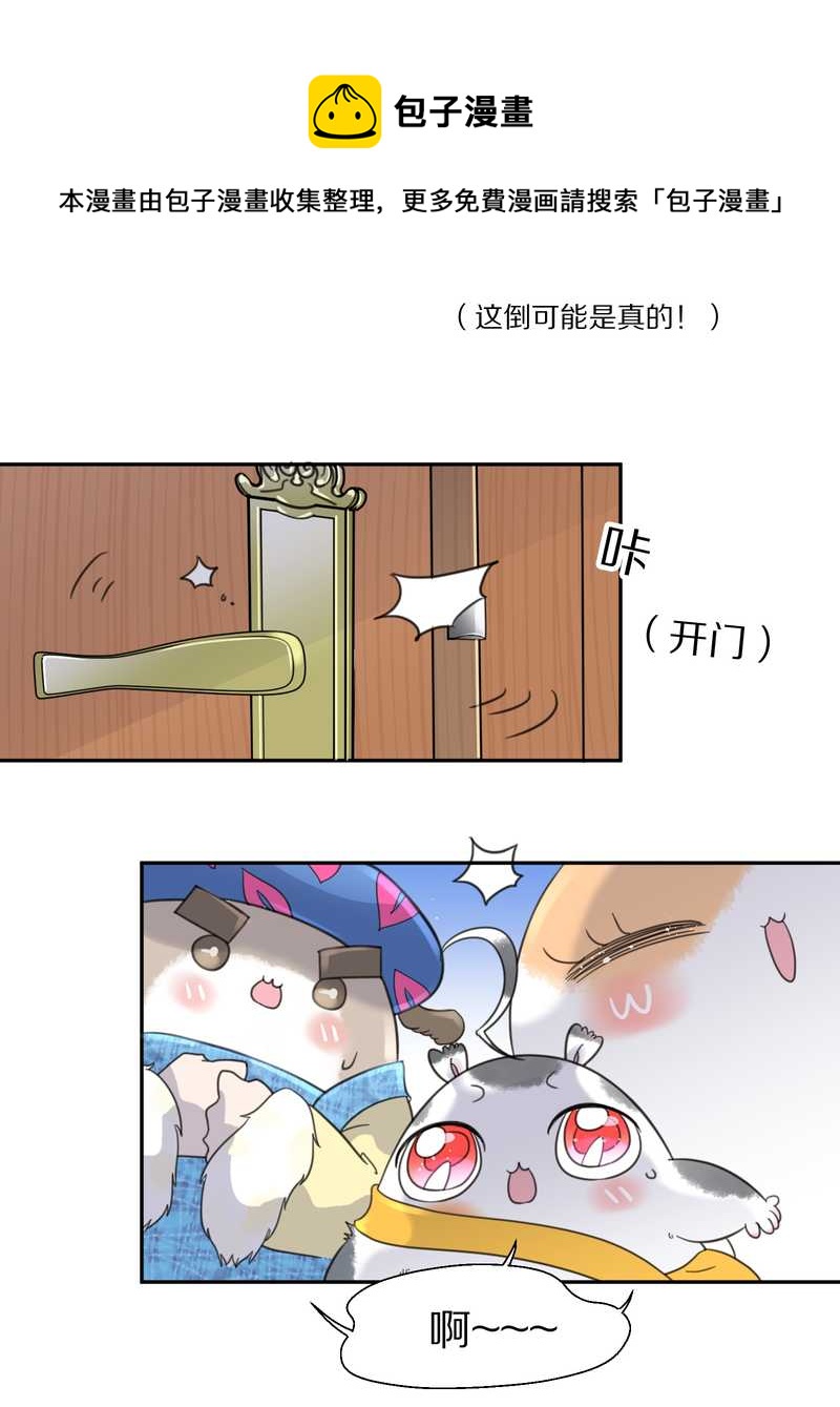 毛球星传说 第35集(1/2)-第35话