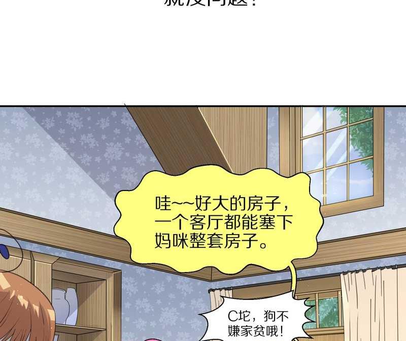 毛球星传说 第35集(1/2)-第35话