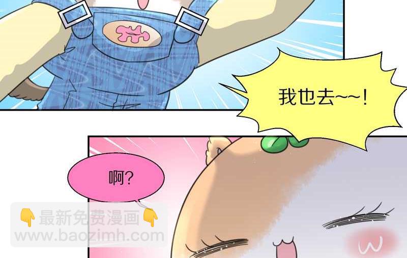 毛球星传说 第35集(1/2)-第35话