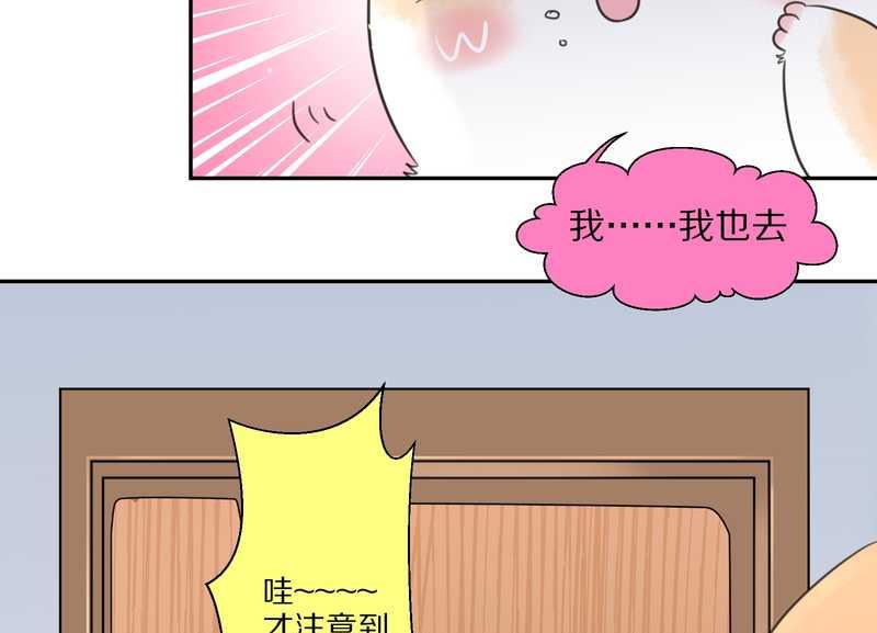 毛球星传说 第35集(1/2)-第35话