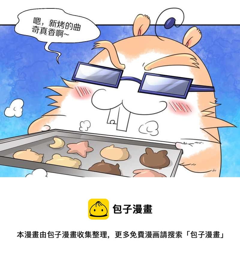 毛球星传说 第35集(1/2)-第35话