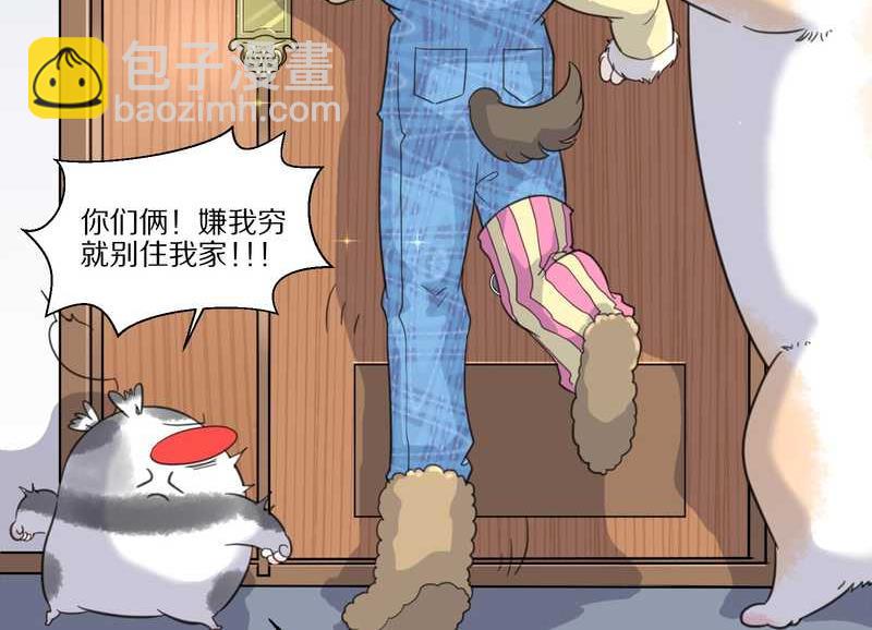 毛球星传说 第35集(1/2)-第35话