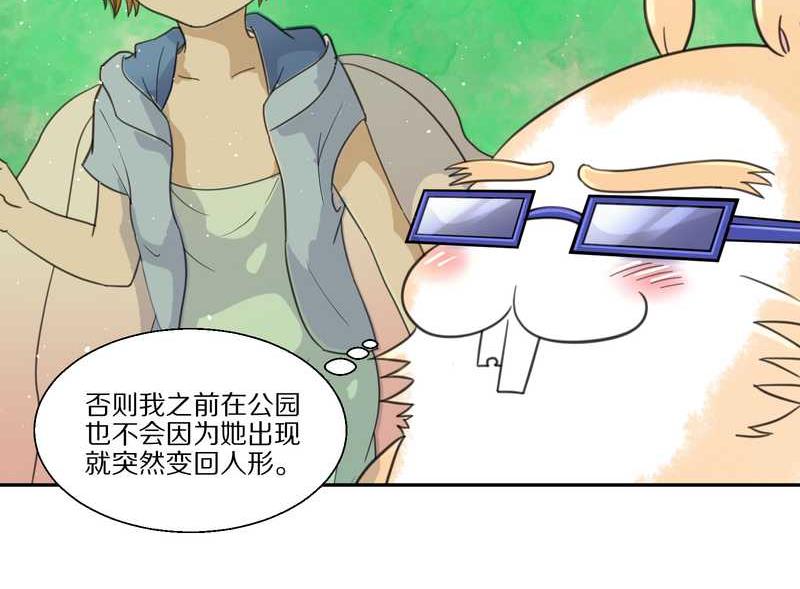 毛球星传说 第35集(1/2)-第35话