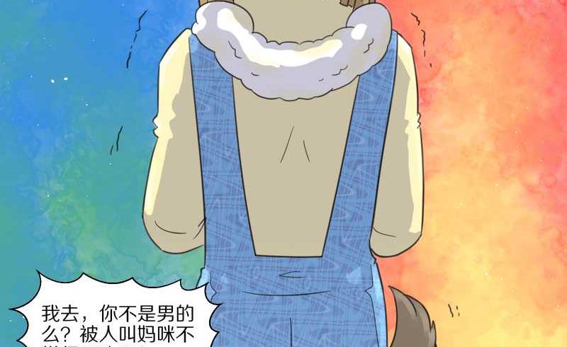 毛球星传说 第37集-第37话