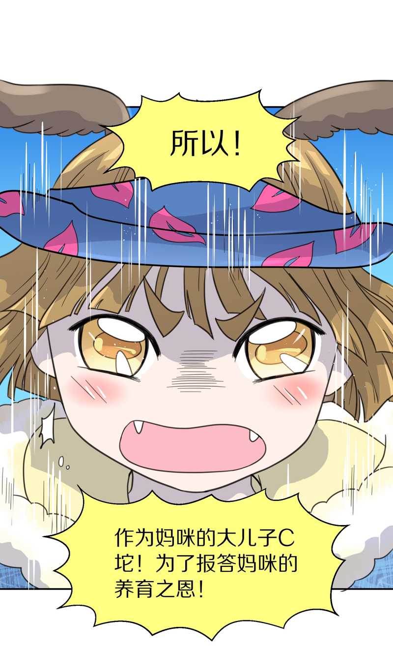 毛球星传说 第37集-第37话