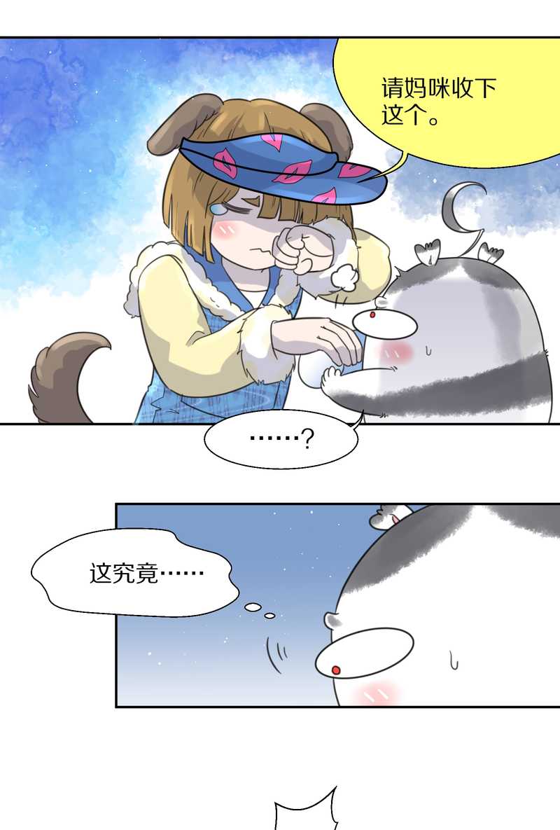 毛球星传说 第37集-第37话