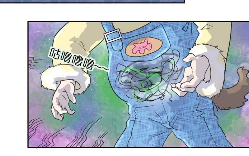 毛球星传说 第37集-第37话