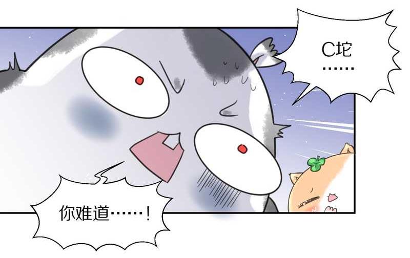 毛球星传说 第37集-第37话