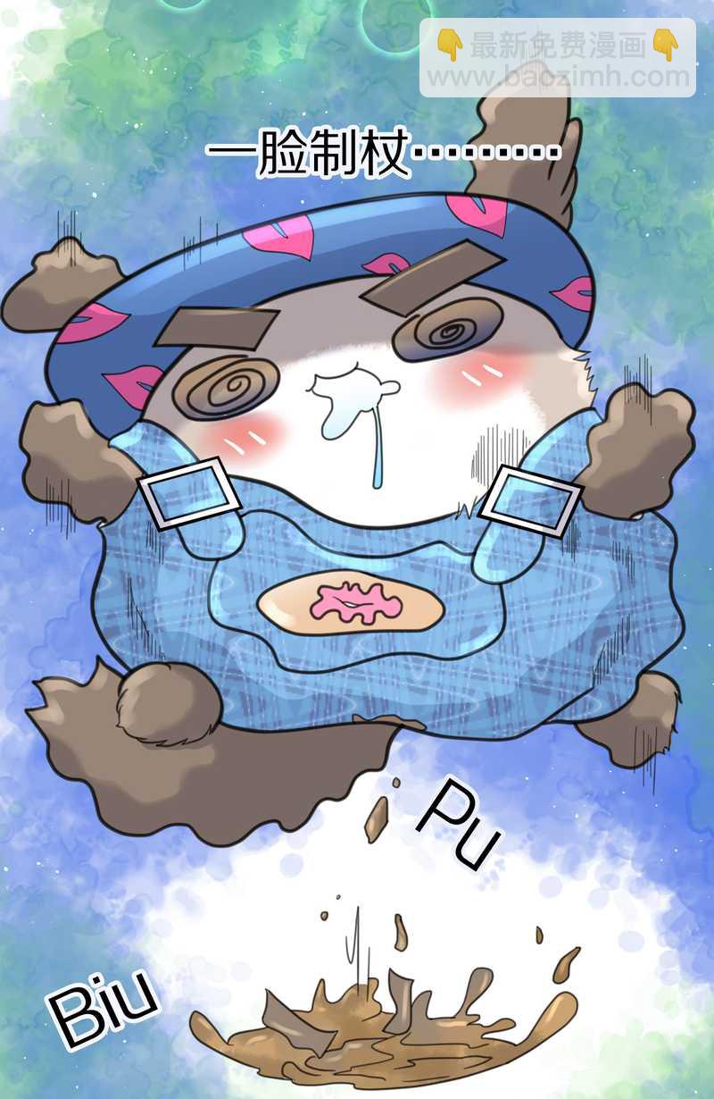 毛球星传说 第37集-第37话