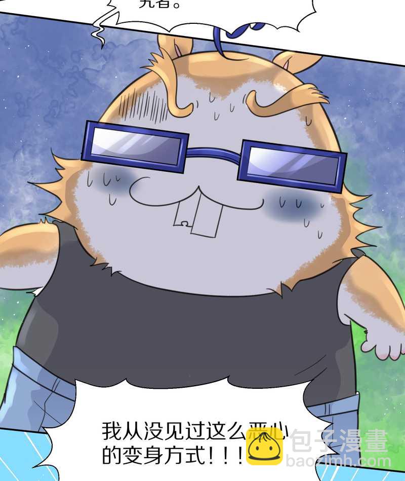 毛球星传说 第37集-第37话