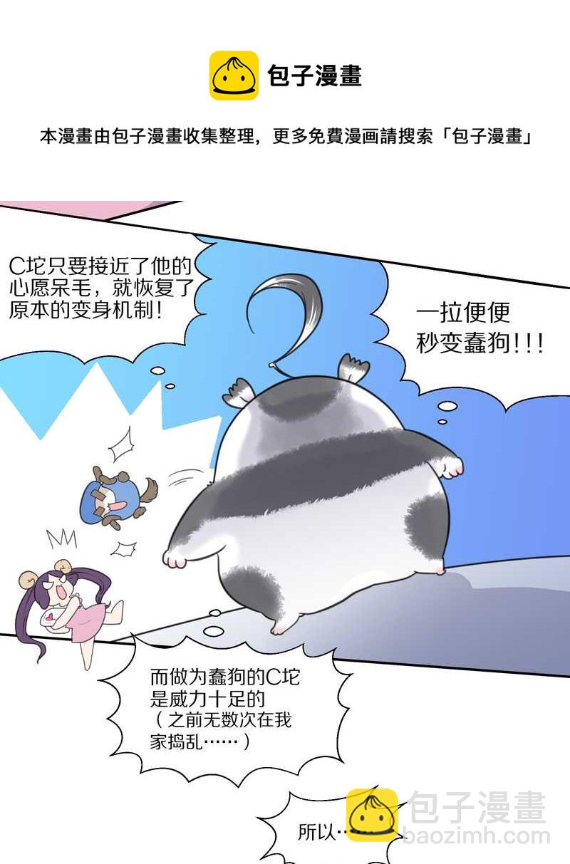 毛球星传说 第37集-第37话