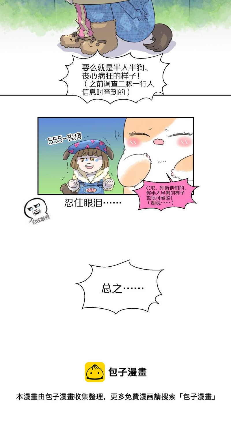 毛球星传说 第37集-第37话