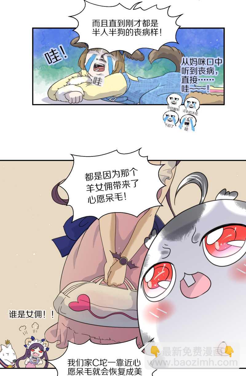 毛球星传说 第37集-第37话