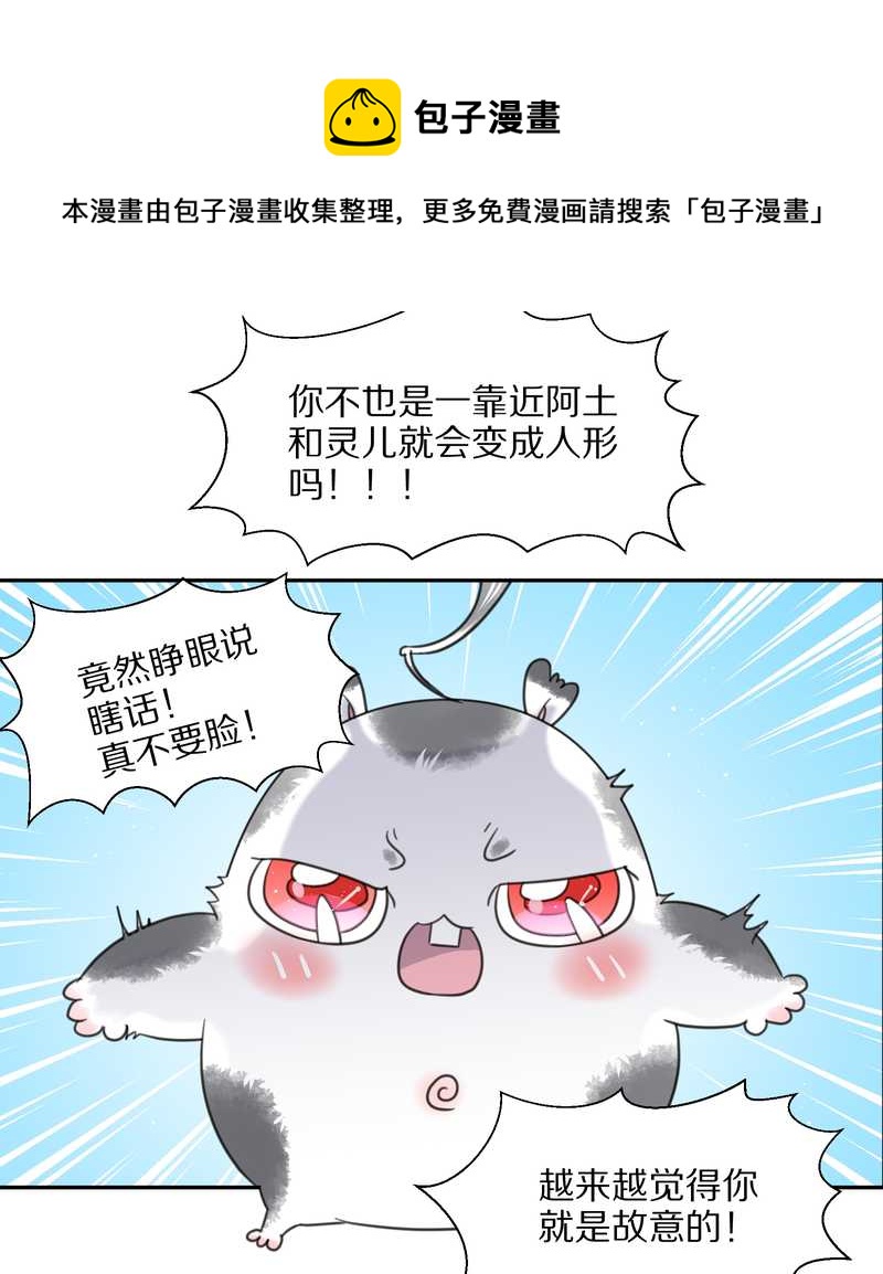 毛球星传说 第37集-第37话