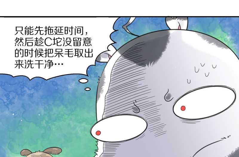 毛球星傳說 - 毛球星傳說 第39集(1/2) - 4