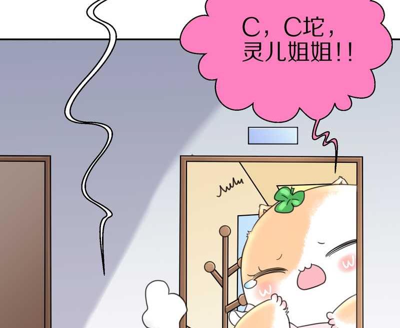 毛球星传说 第39集(1/2)-第39话