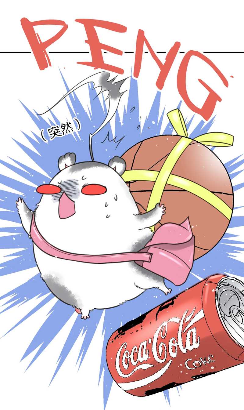 毛球星传说 第5集(1/2)-第5话