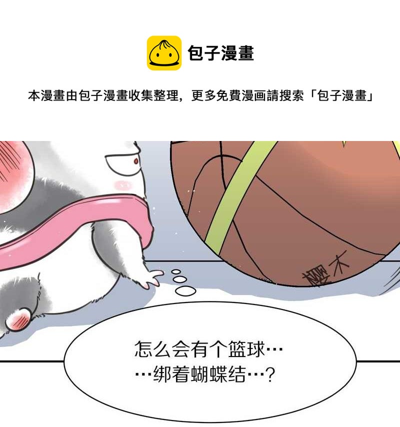 毛球星传说 第5集(1/2)-第5话