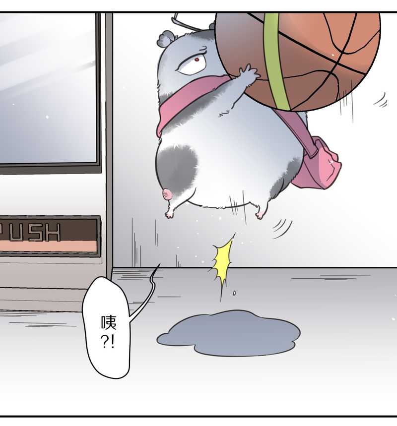 毛球星传说 第5集(1/2)-第5话