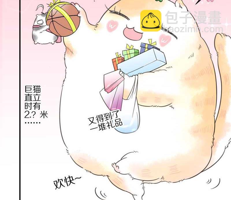 毛球星传说 第5集(1/2)-第5话