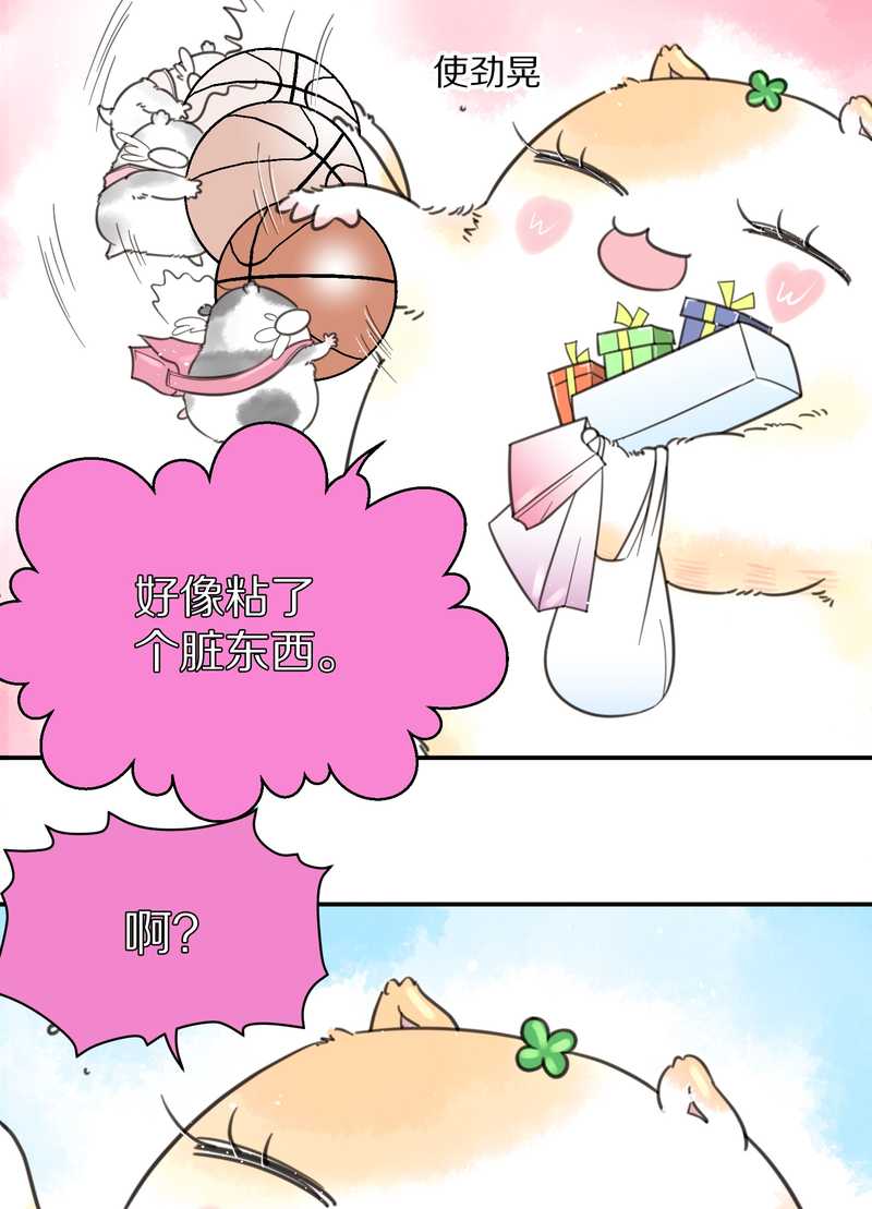 毛球星传说 第5集(1/2)-第5话