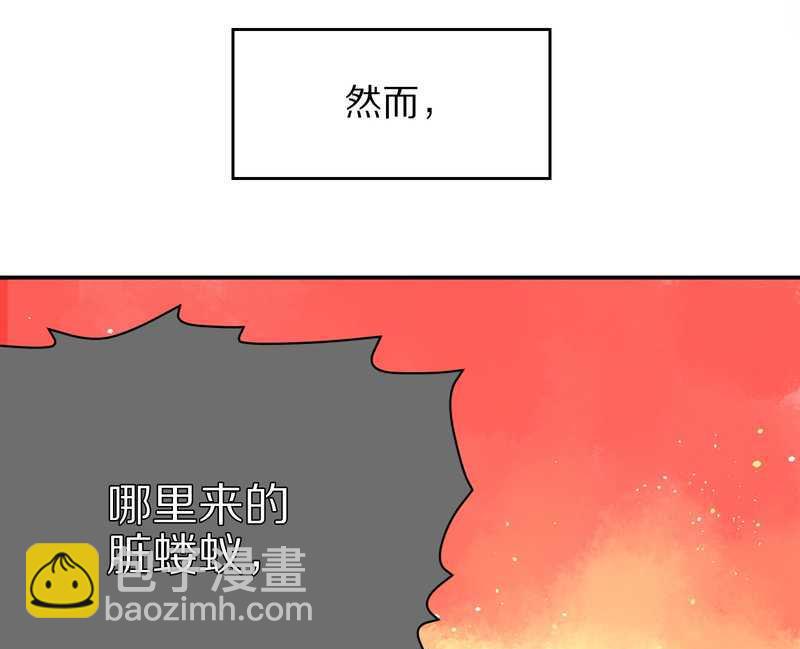 毛球星传说 第5集(1/2)-第5话