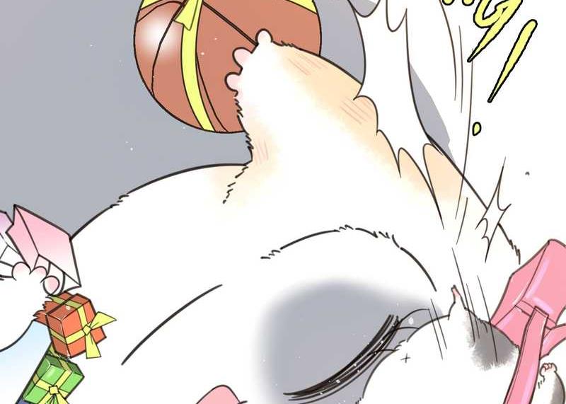 毛球星传说 第5集(1/2)-第5话