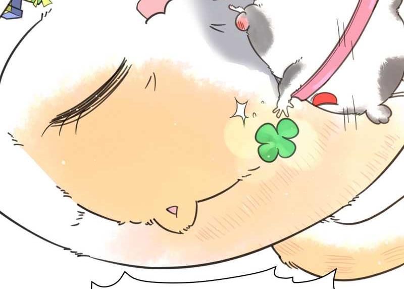 毛球星传说 第5集(1/2)-第5话