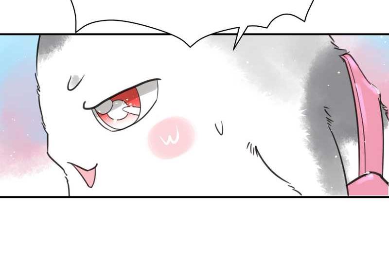 毛球星传说 第5集(1/2)-第5话