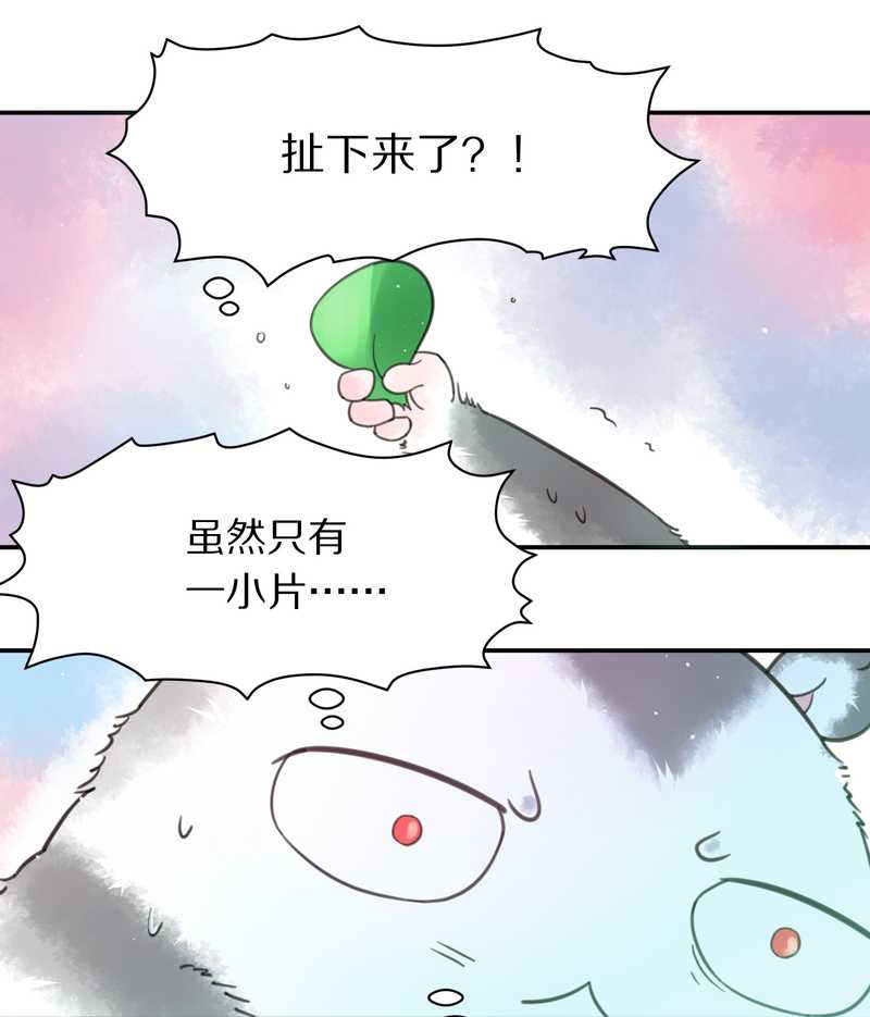 毛球星传说 第5集(1/2)-第5话