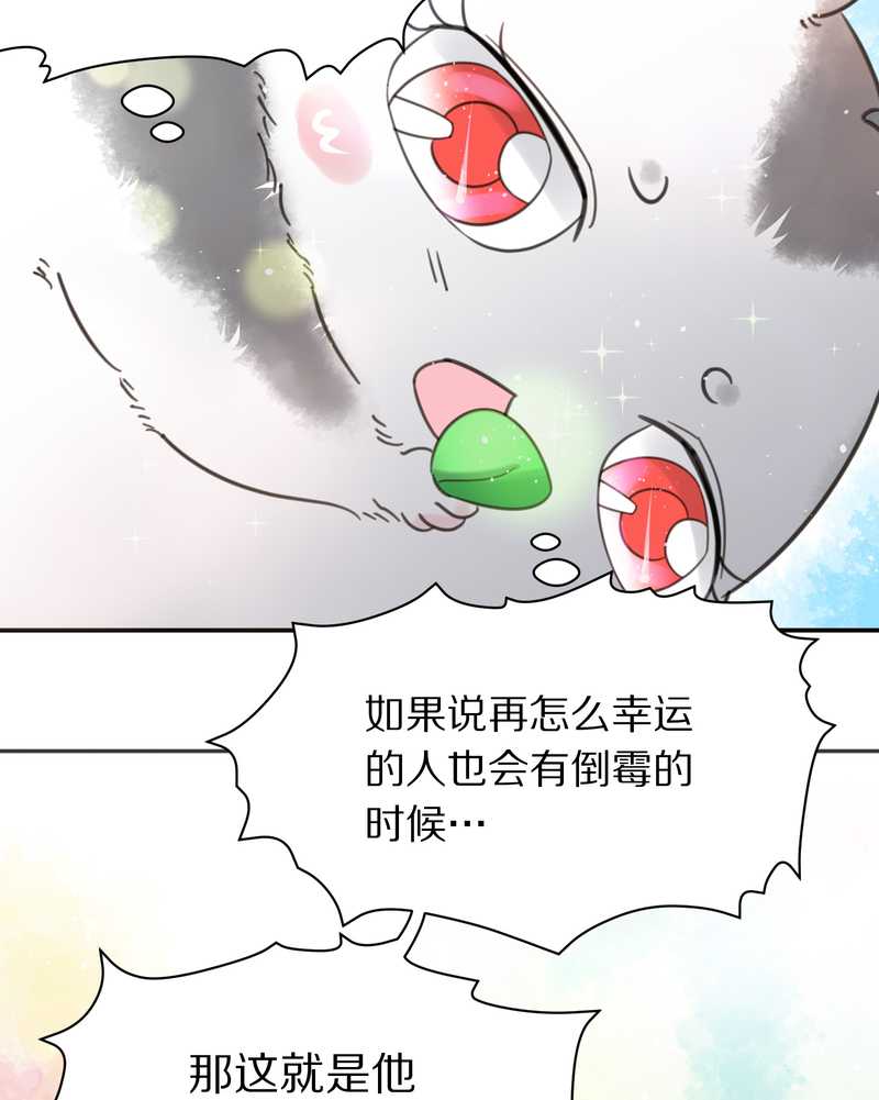 毛球星传说 第5集(1/2)-第5话