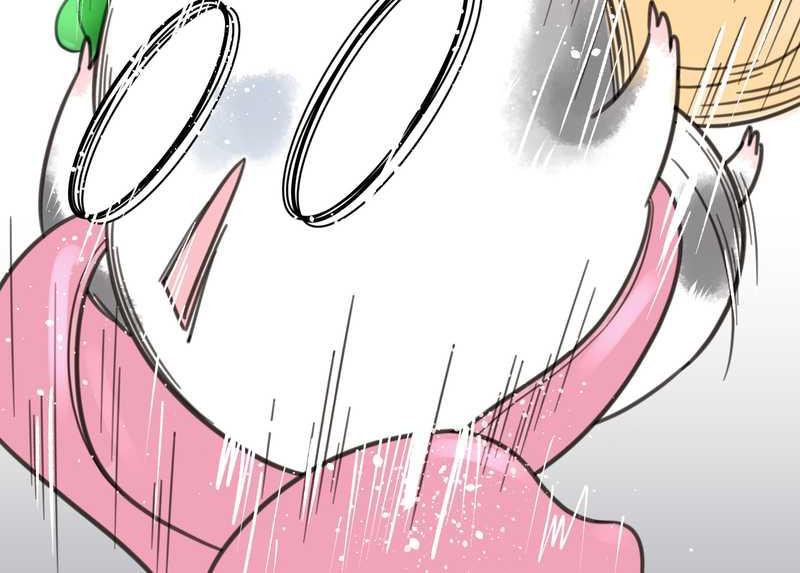 毛球星传说 第5集(1/2)-第5话